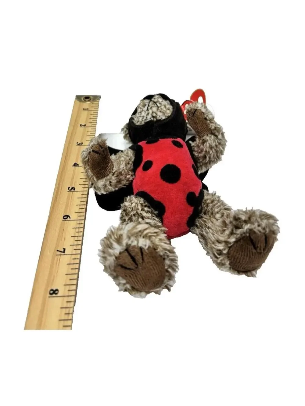 TY Beanie Baby Bugsy  Always A Lady Ladybug Bear 1993 Attic Treasures GUC